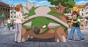 The best team for Pokemon Platinum with Torterra