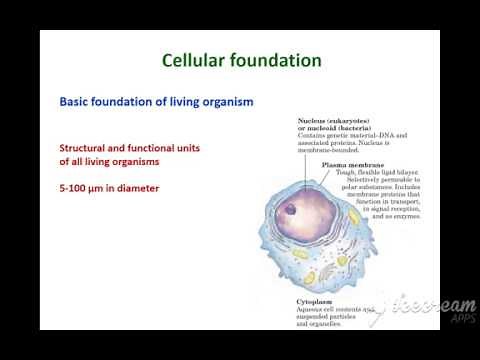 Introduction to Biochemistry ( lehninger principles of biochemistry ) Chapter 1