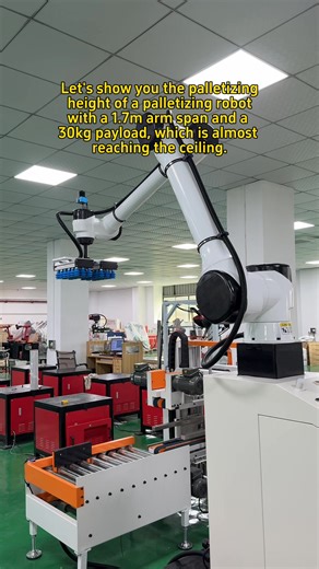 Palletizing robot#industrial robot#six-axis robot | 郝广利 | Facebook