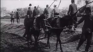 五六十年代的农村公社，满满的回忆！