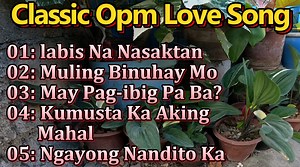 Nonstop best opm love song #opm #music #musicvideo | Mark Rey