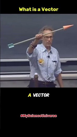 What is a Vector? Walter Lewin Explains this #physics #science