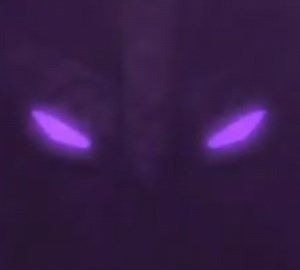 Transformers: Prime Future Characters Revealed