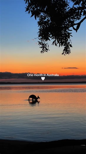 Exploring Australia: A Month on the East Coast