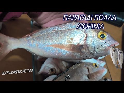 ΠΑΡΑΓΑΔΙ ΠΟΛΛΑ ΛΙΘΡΙΝΙΑ 5/2/2026