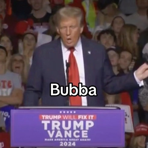 Donald "Hawk Tuah" Trump | The Lincoln Project