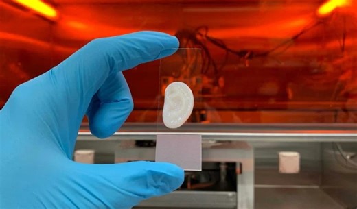 Un cartilage d'oreille bio-imprimé en 3D élastique - 3Dnatives