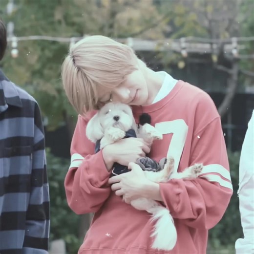 Transforming a Vent Edit into Taegyu Joy