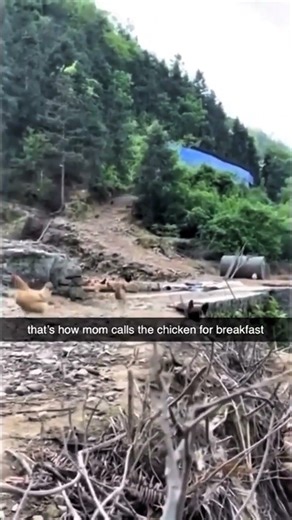 POV: how to call animals to the table #therealdeagle #funny #memes #povshort #animals #food #dinner