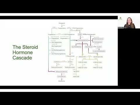 deciphering hormone testing v3 1080p