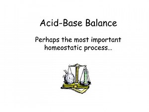 Acid-Base Balance - SlideServe