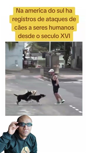 Tentou se extermina los havendo a época oficio de caçador cães os "mata perros" #dog #pets #cachorro