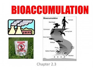 BIOACCUMULATION - SlideServe