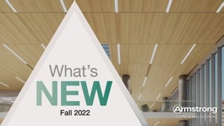 99 reactions | What's new at Armstrong? Wood looks on LYRA PB...