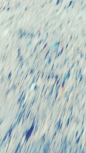 mainu kehndi rehndi aa kinna pyar kare#😘😘😘🥰🥰😍😍🔥🔥🔥💯💯💋💋💋#fully_enjoying #tiktok_inida #viral @tiktok_india