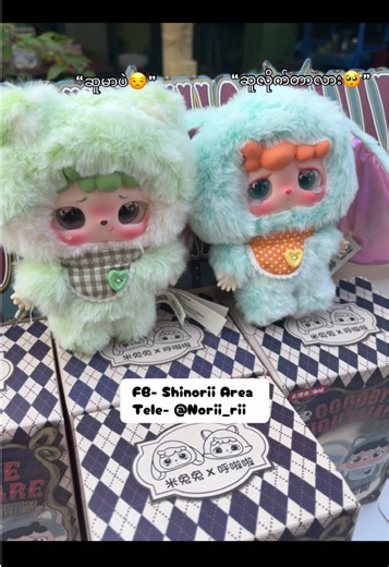 Exploring the Shinorii Area and the Mitutu Hulala Blindbox