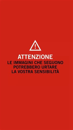 Siamo a Canton, Ohio. Il ventunenne Shane Newman e la ventitreenne Katerina Jeffrey sono stati da poco fermati dalla polizia per un sospetto furto all'interno di un Walmart. I giovani sono in attesa di essere interrogati all'interno del dipartimento antifurto del distretto locale di polizia. Di colpo la situazione degenera. Newman, senza alcun preavviso, estrae dalla giacca una pistola e la punta in direzione di un agente. Fortunatamente l'arma si inceppa e il malvivente non riesce ad aprire il 