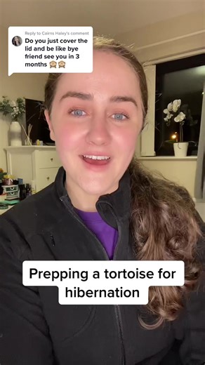 How to Prep a Tortoise for Hibernation