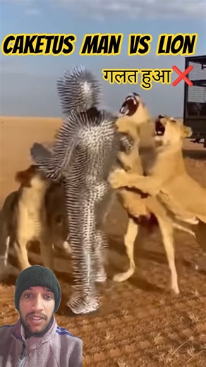 Caketus Man Vs Lions #animalattack #wildlife #viral #tigerattack #lion #ankitales #querétaro #query