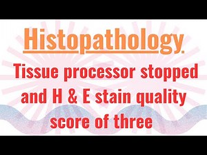 Histopathology Job Interview Question - Tissue processor stopped working/ H&E score of 3