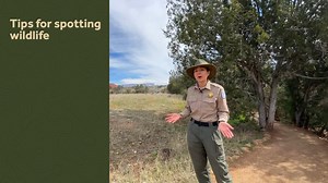 What do you cherish most about wildlife? Help preserve and protect the places that our favorite animals call home. 🐾 Check out Arizona State Parks Park Ranger Riley's tips for respecting wildlife. 🥾 Stay on designated trails to keep habitats intact. 🌲 Remember that the outdoors is home for wild animals. Be respectful. 🍫 Throw away your trash in trash cans. Human food can make animals sick. Learn more ways to Appreciate AZ: bit.ly/3i4K6Tt 📍Red Rock State Park | Visit Arizona