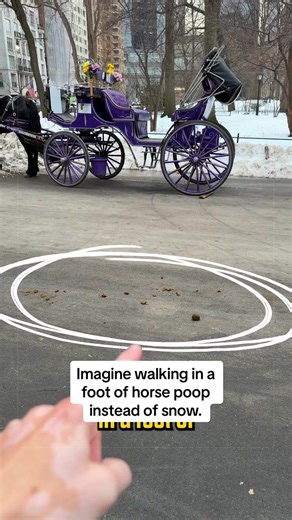 Life in NYC: Horse Poop vs. Snow