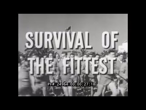 WWII U.S. ARMY AIR FORCES RECRUITING FILMS BASIC TRAINING & OFFICER'S CANDIDATE SCHOOL OCS 24964