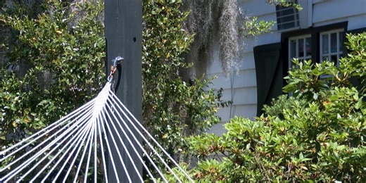 Georgetown County Council passes final reading of controversial land use proposal