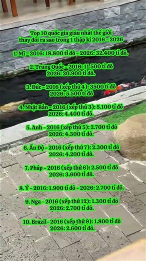 Top 10 quốc gia giàu nhất thế giới thay đổi ra sao sau 1 thập kỉ 2016-2026 #top10 #fyp #richest #gdp