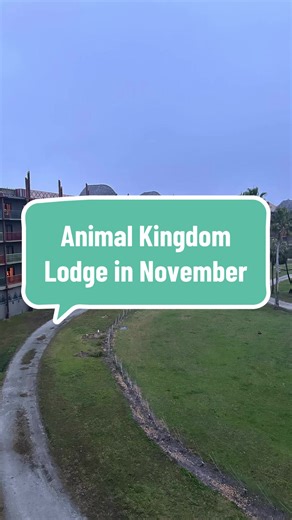 Experience the Magic of Animal Kingdom Lodge in November