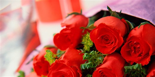 How we test red roses