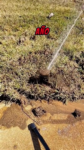 1.1M views · 22K reactions | Después de que encontré a mi esposa con mi propio hermano, toda la familia me presionó para que me hiciera a un lado, y así lo hice…. | Agate Valeria | Facebook