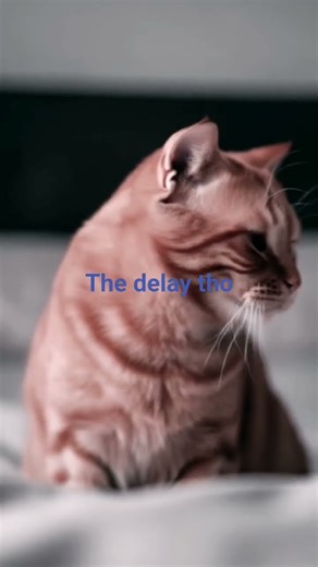 damn moma keep woopen my ass