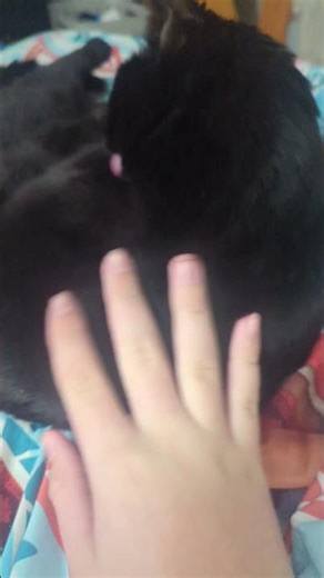 original Hitman story