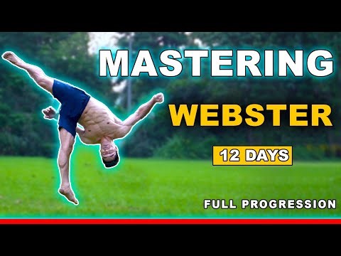 Mastering Webster FLIP (12 Days PRO)
