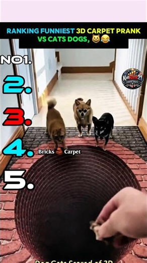 Ranking Funniest 3D Carpets Pranks With Pets Viral 🤣#shorts #3dcarpet #pranks #pets #kunrank21
