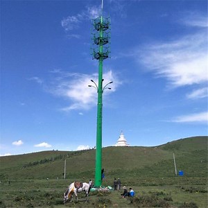 [Hot Item] 20m 30m 40m 50m 60m 70m 80m Hot DIP Galvanized Steel Signal Pole Self-Support Monopole Tower