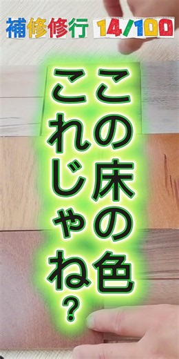 【色合ってる？】新旧の人気のフローリングの床材を集めて検証！ハードワックス全色揃えたろかな【補修修行14/100】 #大工さん #床補修 #リペア補修 #フローリング補修