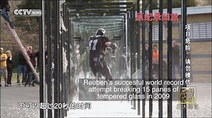 591K views · 357 shares | Shattered dreams: The most embarrassing...