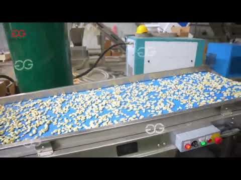 Garlic Powder Processing Line