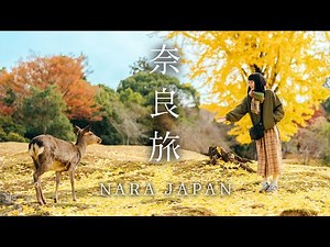 The Perfect Nara Day Trip - Japan's First Ancient Capital｜Visit The City Of Deer