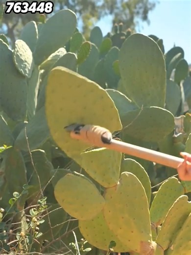 Understanding Storytelling Through Reddit: Part 2