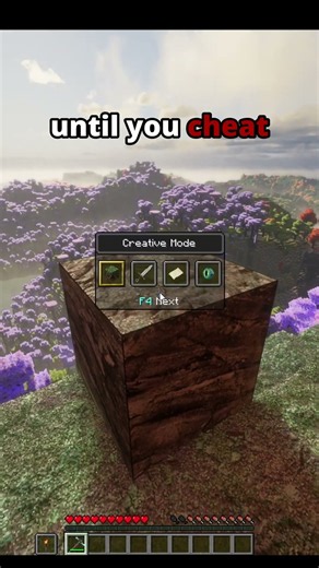 The only way to cheat Bedrock #minecraft #gaming #mc #notcyphox