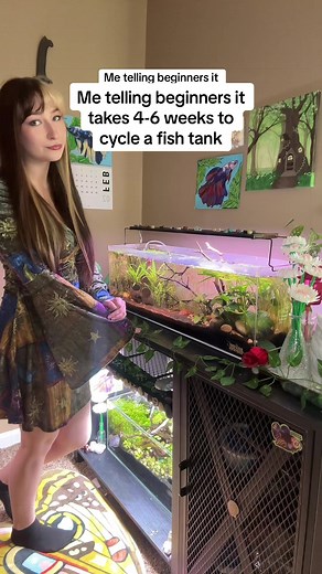 Beginners' Reactions to Cycling a Fish Tank: What to Expect
