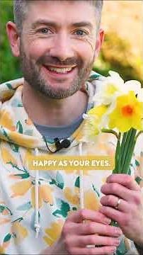 How to pick the PERFECT bunch of daffodils with the BEST vase life!