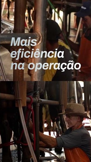 FSC da SERAP: Um tanque à altura de quem produz acima de 2mil litros/dia