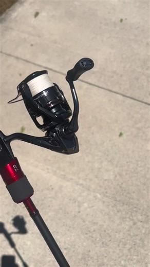 Identifying Fish Species: A Guide for Anglers