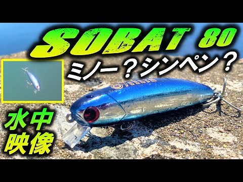 [Sobat 80] Seabass Lure Underwater Footage. Can it be used as both a minnow and a sinking pencil?...
