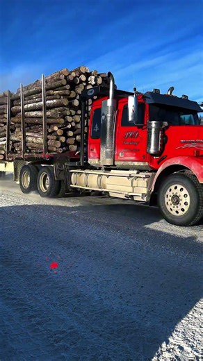 POV: Typical traffic in the North Maine Woods