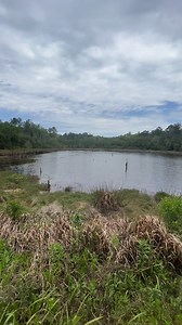 It’s a slithery snake! #reels #snake #scary #creepy | Exploring with the Nug